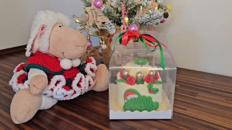 Backkurs: Bento Cake Torte Weihnachten